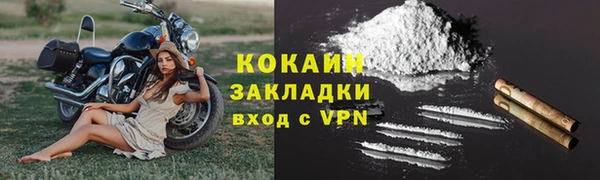 spice Богородск