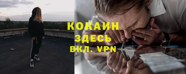 твердый Сатка