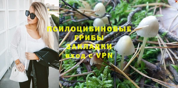 a pvp Богданович