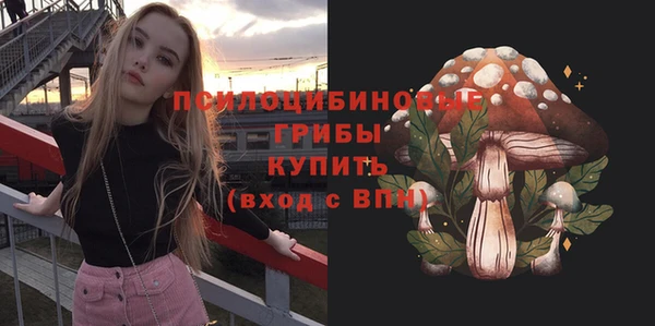 spice Богородск
